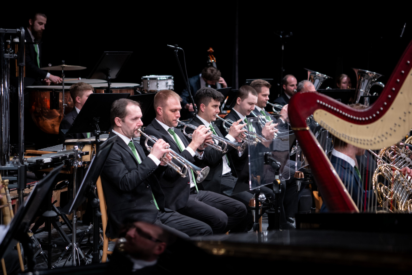 galerie Koncert Symfonie jara 29. 3. 2026